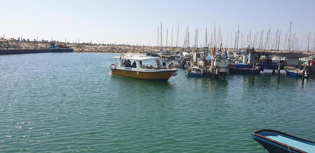 Rotem Suite In Marina Ashklon Aşkelon Dış mekan fotoğraf